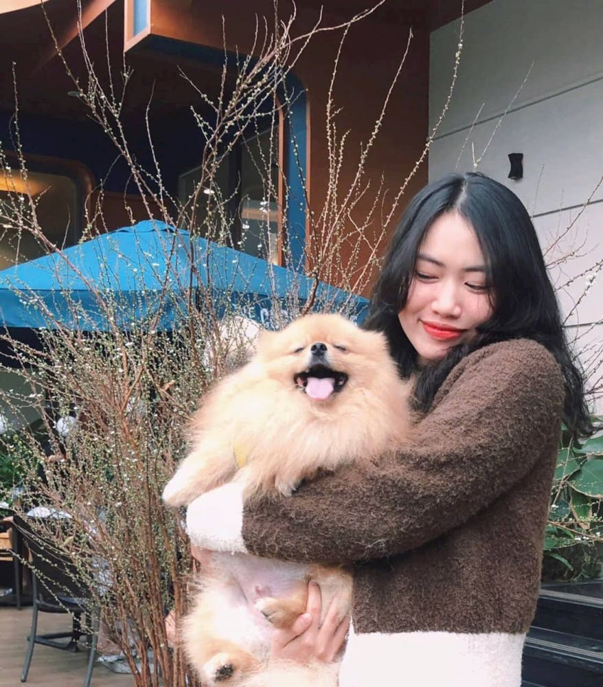 다낭미녀 라이더 & 훈남 가이드 – Playful Tours