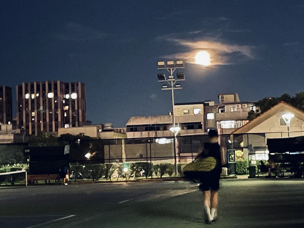 여행객 후기 사진