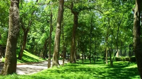 바타오 공원