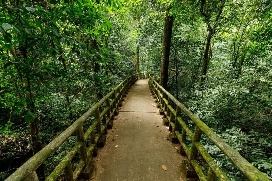 꾹프엉 국립공원 (Cuc Phuong National Park)